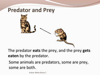 Some animals are predators, some are prey,
some are both.
The predator eats the prey, and the prey gets
eaten by the predator.
Autora: Marta García T.
 