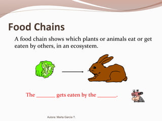Food Chains
A food chain shows which plants or animals eat or get
eaten by others, in an ecosystem.
The _______ gets eaten by the _______.
Autora: Marta García T.
 
