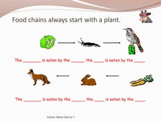 The _______ is eaten by the _____, the ____ is eaten by the ____.
The _______ is eaten by the _____, the ____ is eaten by the ____.
Autora: Marta García T.
 