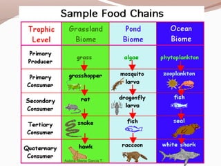 Autora: Marta García T.
 