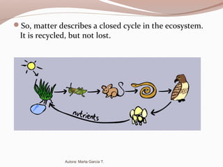 So, matter describes a closed cycle in the ecosystem.
It is recycled, but not lost.
Autora: Marta García T.
 