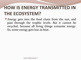 HOW IS ENERGY TRANSMITTED IN
THE ECOSYSTEM?
Energy gets into the food chain from the sun, and
pass through the trophic levels. But it cannot be
recycled, because all living things consume energy.
So, some energy gets lost as heat.
Autora: Marta García T.
 