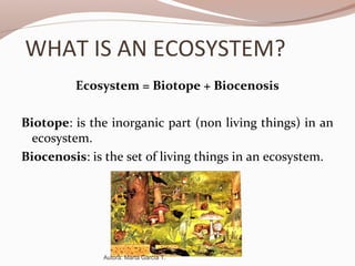 WHAT IS AN ECOSYSTEM?
Ecosystem = Biotope + Biocenosis
Biotope: is the inorganic part (non living things) in an
ecosystem.
Biocenosis: is the set of living things in an ecosystem.
Autora: Marta García T.
 