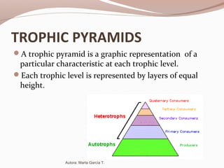 TROPHIC PYRAMIDS
A trophic pyramid is a graphic representation of a
particular characteristic at each trophic level.
Each trophic level is represented by layers of equal
height.
Autora: Marta García T.
 
