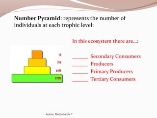 Number Pyramid: represents the number of
individuals at each trophic level:
In this ecosystem there are…:
______ Secondary Consumers
______ Producers
______ Primary Producers
______ Tertiary Consumers
Autora: Marta García T.
 