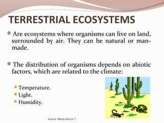 TERRESTRIAL ECOSYSTEMS
Are ecosystems where organisms can live on land,
surrounded by air. They can be natural or man-
made.
The distribution of organisms depends on abiotic
factors, which are related to the climate:
Temperature.
Light.
Humidity.
Autora: Marta García T.
 