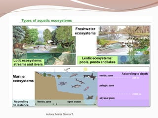 Autora: Marta García T.
 
