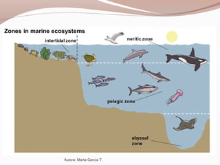 Autora: Marta García T.
 