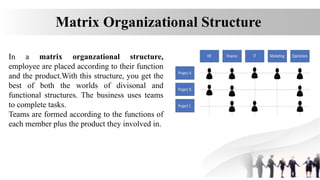 The Structure of Organization in pp.pptx