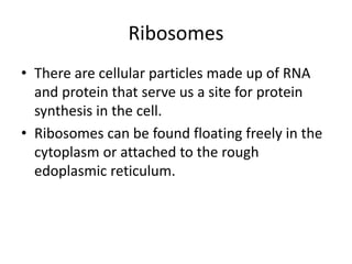 Ribosomes
• There are cellular particles made up of RNA
and protein that serve us a site for protein
synthesis in the cell.
• Ribosomes can be found floating freely in the
cytoplasm or attached to the rough
edoplasmic reticulum.
 