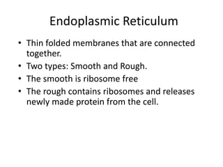 Endoplasmic Reticulum
• Thin folded membranes that are connected
together.
• Two types: Smooth and Rough.
• The smooth is ribosome free
• The rough contains ribosomes and releases
newly made protein from the cell.
 