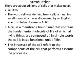 There are about trillions of cells that makes up an
organism.
• The word cell was derived from cellula meaning
small room ...