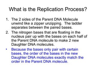 What is the Replication Process?
1. The 2 sides of the Parent DNA Molecule
unwind like a zipper unzipping. The ladder
separates between the paired bases.
2. The nitrogen bases that are floating in the
nucleus pair up with the bases on each half of
the Parent DNA molecule to make 2 new
Daughter DNA molecules.
• Because the bases only pair with certain
bases, the order of the bases in the new
Daughter DNA molecules exactly match the
order in the Parent DNA molecule.

 