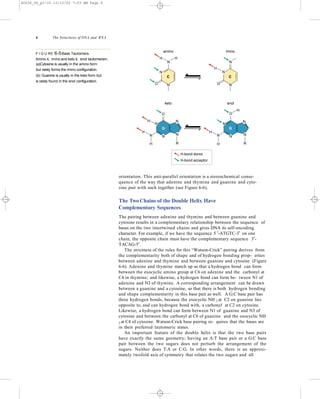 The structures of DNA & RNA | PPTX