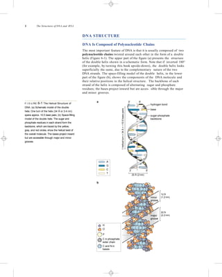 The structures of DNA & RNA | PPTX