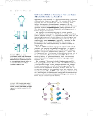 The structures of DNA & RNA | PPTX