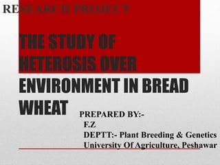 THE STUDY OF
HETEROSIS OVER
ENVIRONMENT IN BREAD
WHEAT
RESEARCH PROJECT
PREPARED BY:-
F.Z
DEPTT:- Plant Breeding & Genetics
University Of Agriculture, Peshawar
 