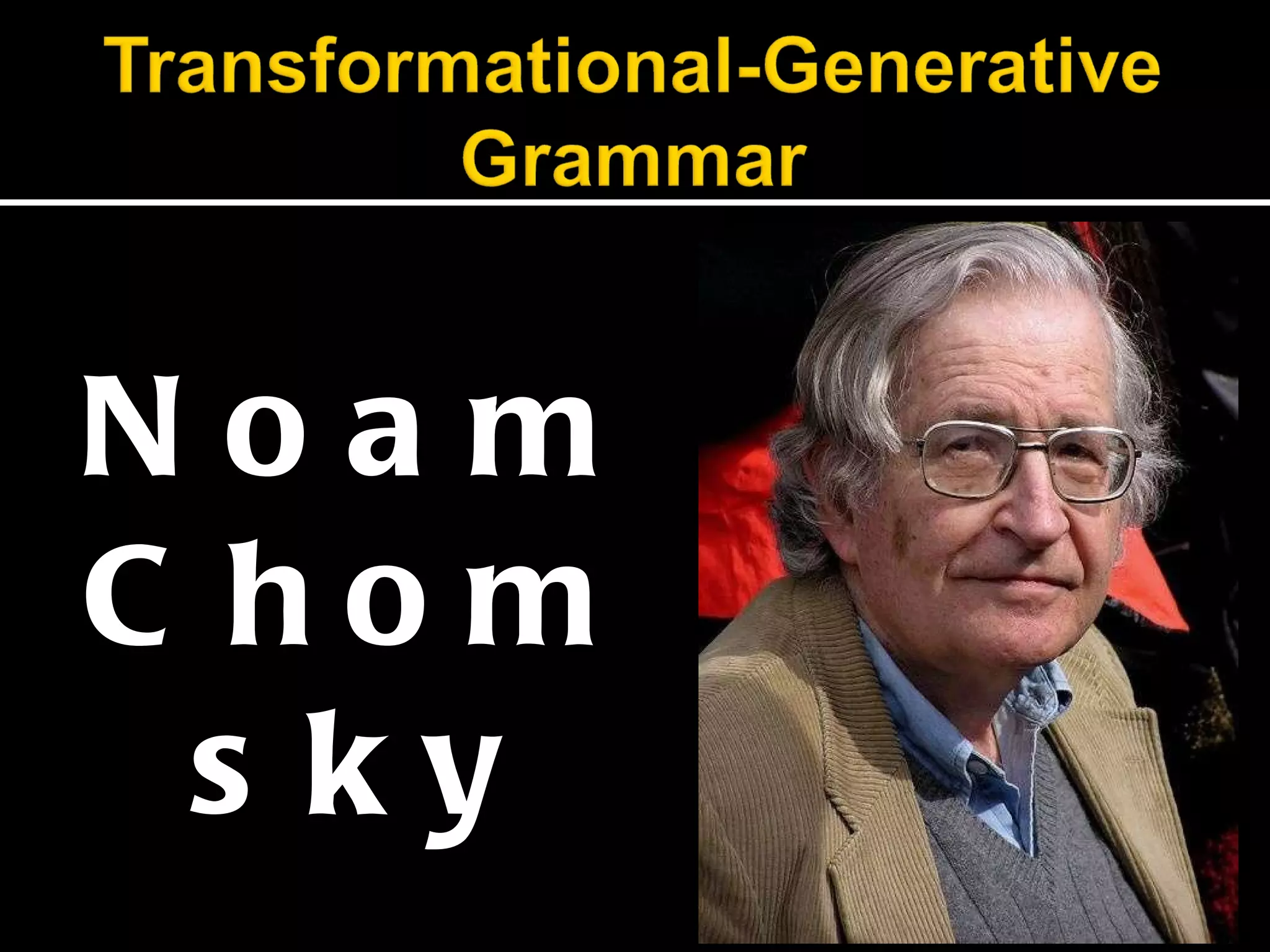 Noam Chomsky 