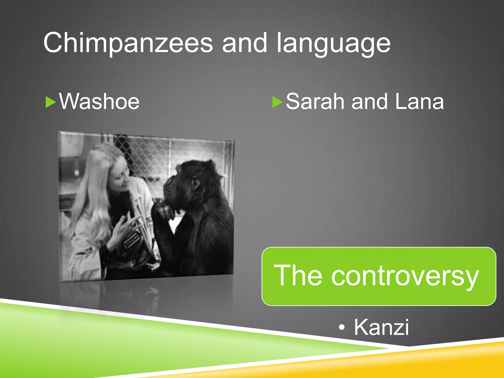 Washoe Sarah and Lana
Chimpanzees and language
The controversy
• Kanzi
 