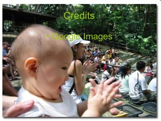 Credits   Google Images 