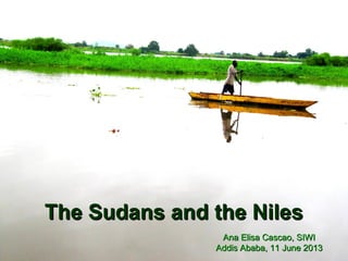The Sudans and the NilesThe Sudans and the Niles
Ana Elisa Cascao, SIWIAna Elisa Cascao, SIWI
Addis Ababa, 11 June 2013Addis Ababa, 11 June 2013
 