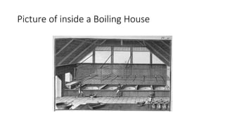Picture of inside a Boiling House
 