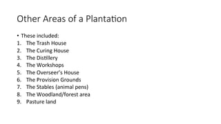 Other Areas of a Plantation
• These included:
1. The Trash House
2. The Curing House
3. The Distillery
4. The Workshops
5. The Overseer’s House
6. The Provision Grounds
7. The Stables (animal pens)
8. The Woodland/forest area
9. Pasture land
 
