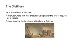 The Distillery
• It is also known as the Stills.
• This was where rum was produced using either the raw cane juice
or molasses.
Picture showing the interior of a Distillery in Antigua.
 
