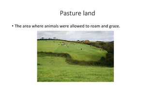 Pasture land
• The area where animals were allowed to roam and graze.
 
