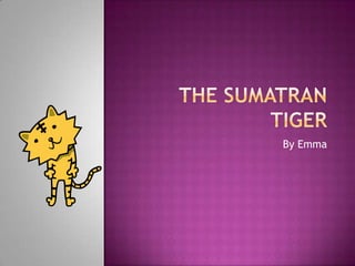 The Sumatran Tiger By Emma 