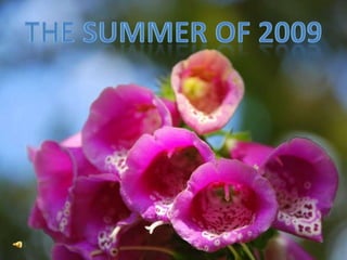 THE SUMMER OF 2009 