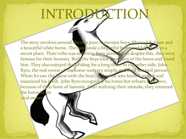 The Summer Of Beautiful White Horse