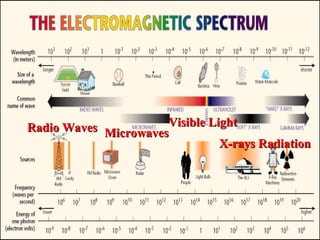 Radio Waves Visible Light X-rays Radiation Microwaves 