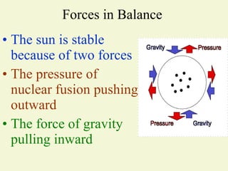 Forces in Balance  The sun is stable because of two forces The pressure of nuclear fusion pushing outward  The force of gravity pulling inward 