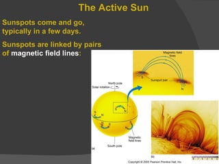 The Active Sun Sunspots come and go, typically in a few days. Sunspots are linked by pairs of  magnetic field lines : 