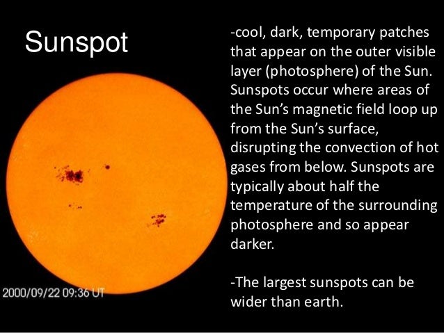 what is the importance of the sun