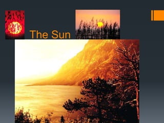 The Sun
 