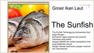 The Sunfish
The Sunfish Temanggung menawarkan ikan
segar dengan
bermacam ragam spesies dari perairan
Indonesia yang diolah
dengan fasilitas dan sistem pengolahan ikan
yang dijalankan sesuai
dengan standar keamanan pangan nasional
dan internasional.
Grosir Ikan Laut
 
