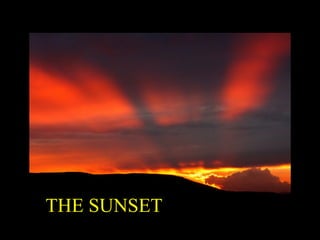 THE SUNSET
 