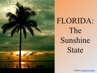 FLORIDA:
   The
 Sunshine
   State

    Image by Alex de Carvalho
 