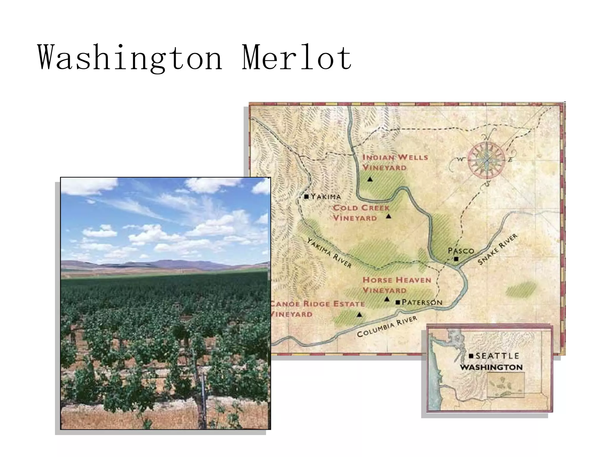 Washington Merlot 