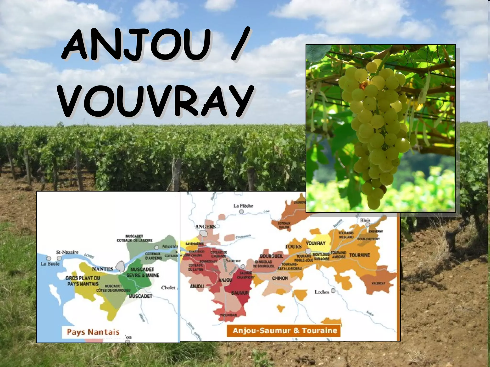 ANJOU / VOUVRAY 