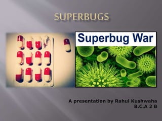 A presentation by Rahul Kushwaha
B.C.A 2 B
 