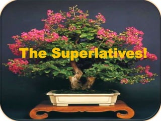 The Superlatives! 