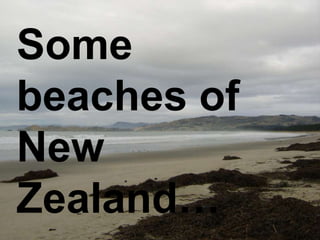 Some
beaches of
New
Zealand…
 