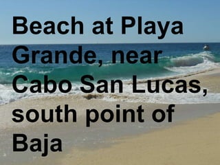 Beach at Playa
Grande, near
Cabo San Lucas,
south point of
Baja
 