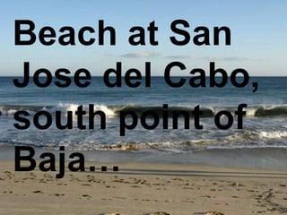 Beach at San
Jose del Cabo,
south point of
Baja…
 