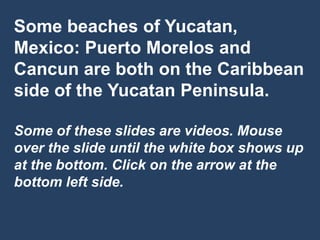 Some beaches of Yucatan,
Mexico: Puerto Morelos and
Cancun are both on the Caribbean
side of the Yucatan Peninsula.

Some of these slides are videos. Mouse
over the slide until the white box shows up
at the bottom. Click on the arrow at the
bottom left side.
 