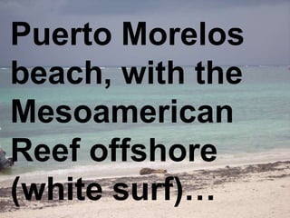 Puerto Morelos
beach, with the
Mesoamerican
Reef offshore
(white surf)…
 