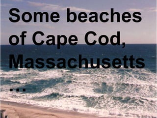 Some beaches
of Cape Cod,
Massachusetts
…
.
 